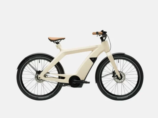 product-image-6-1024x696 Mauris Diam